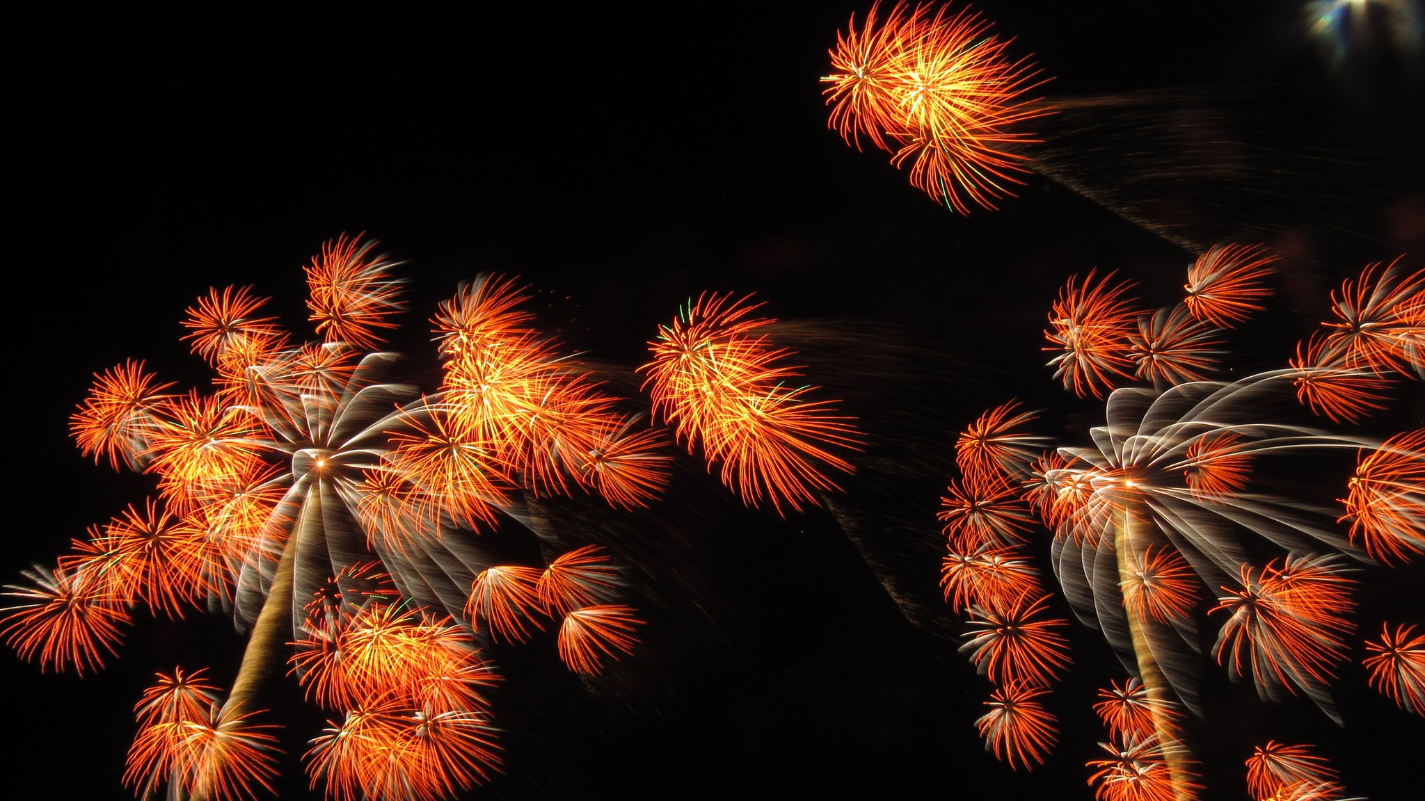 モビリティリゾートもてぎ花火の祭典冬2024ってどんな花火？│花火ファンが運営 ふぁいん!花火総合サイト